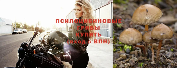 дживик Аркадак