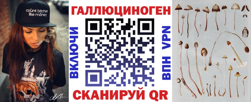 как найти   Приморско-Ахтарск  Галлюциногенные грибы прущие грибы 
